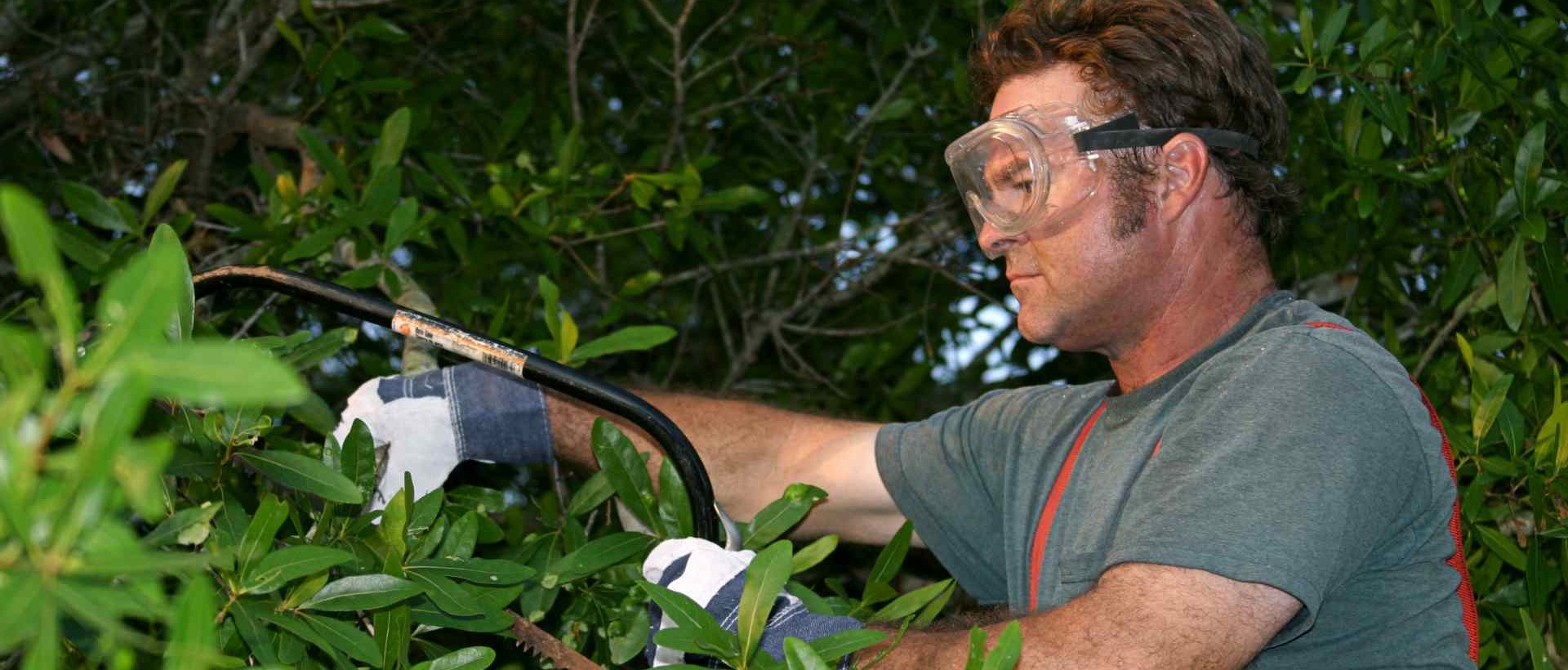 garden clearance BR4
