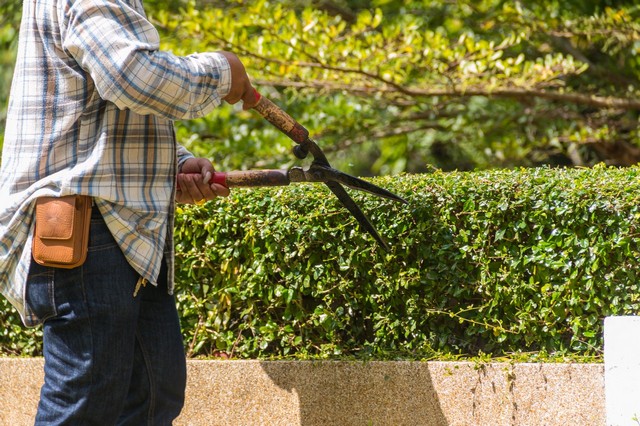 Garden Maintenance West Wickham, BR4